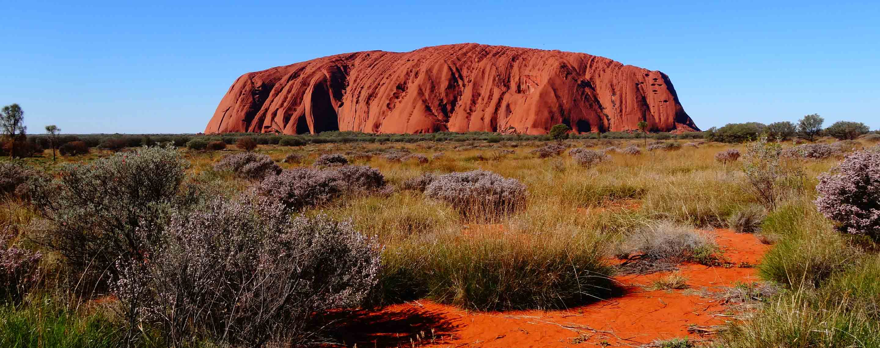 voyages ayers rock tours