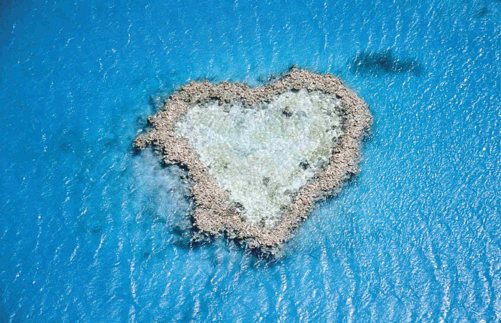 Voyage de noces en Australie - Grande Barrière de Corail