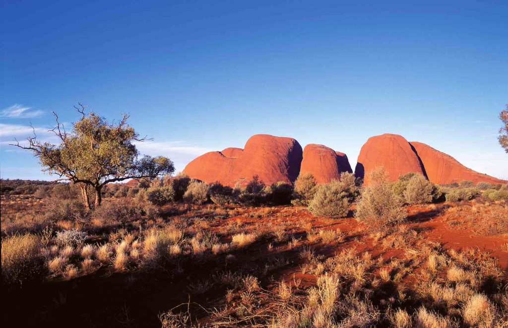 Voyage en Australie - Kata Tjuta / Monts Olgas