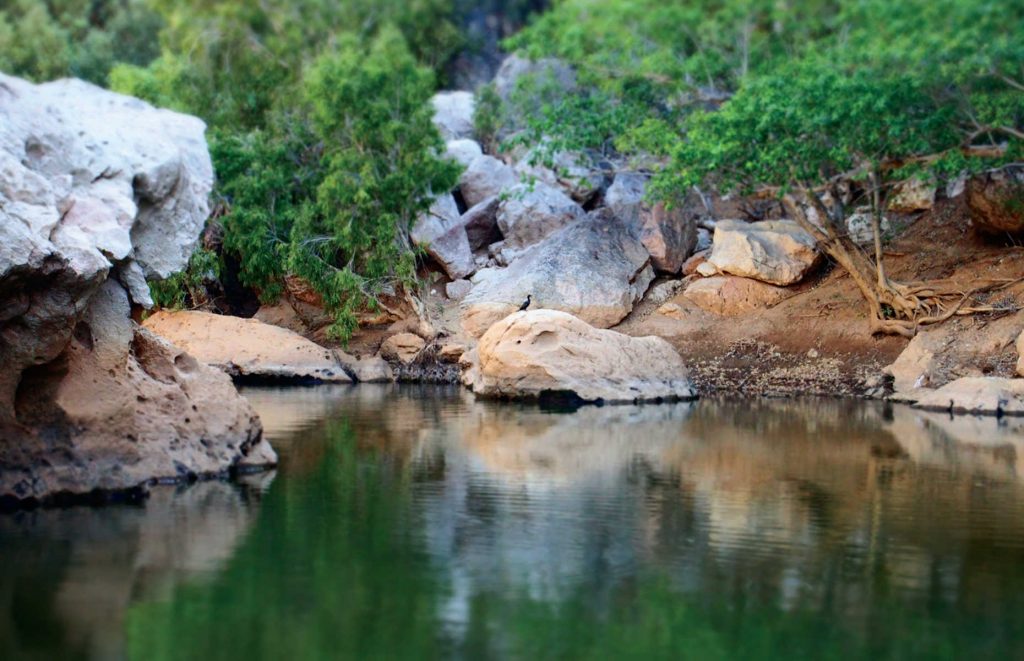 Voyage en Australie - Windjana Gorge