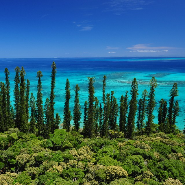 La Route du Pacifique - île des pins nouvelle Calédonie - Ile des Pins