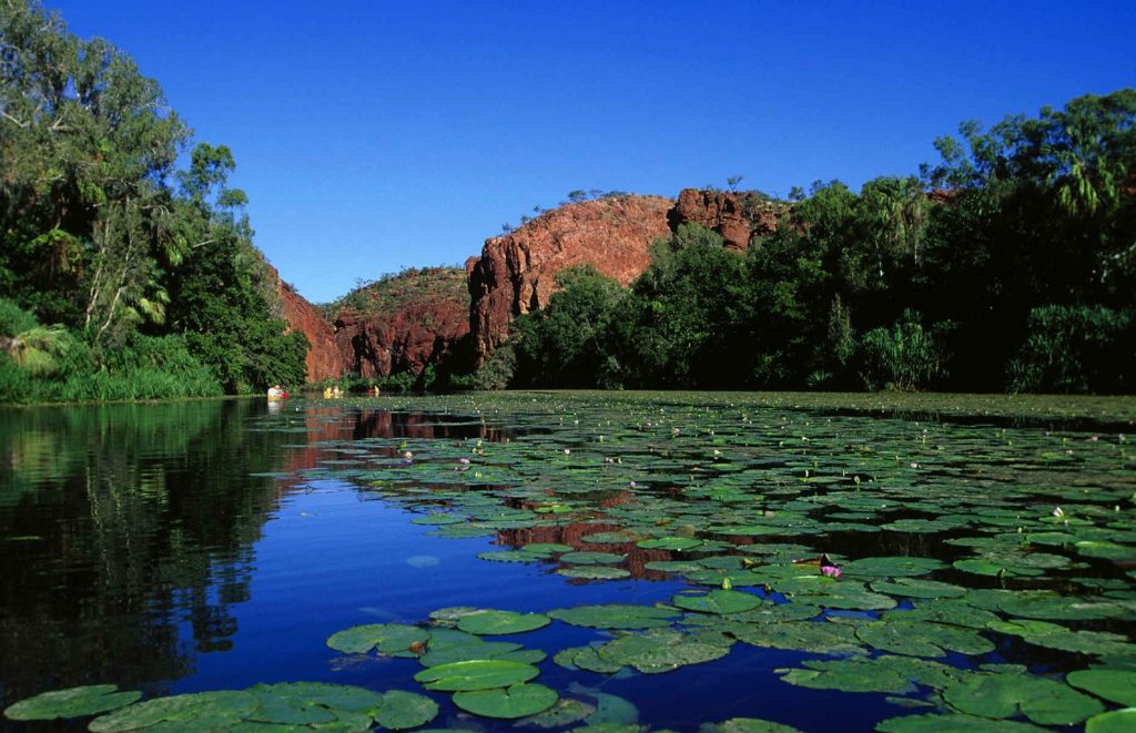 kakadu top end voyage australie