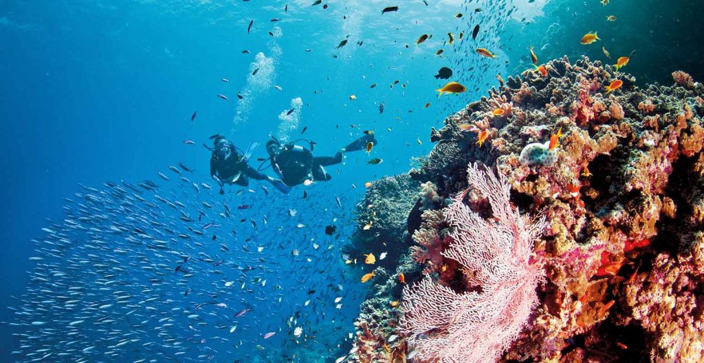Séjour Grande Barrière de corail