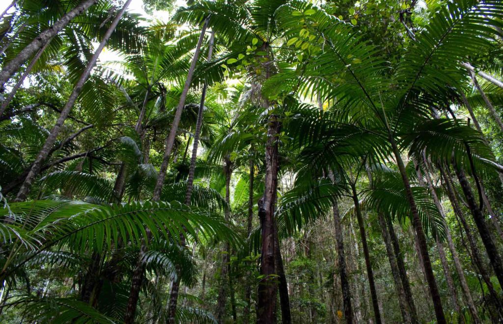 Séjour Queensland - Fraser Island
