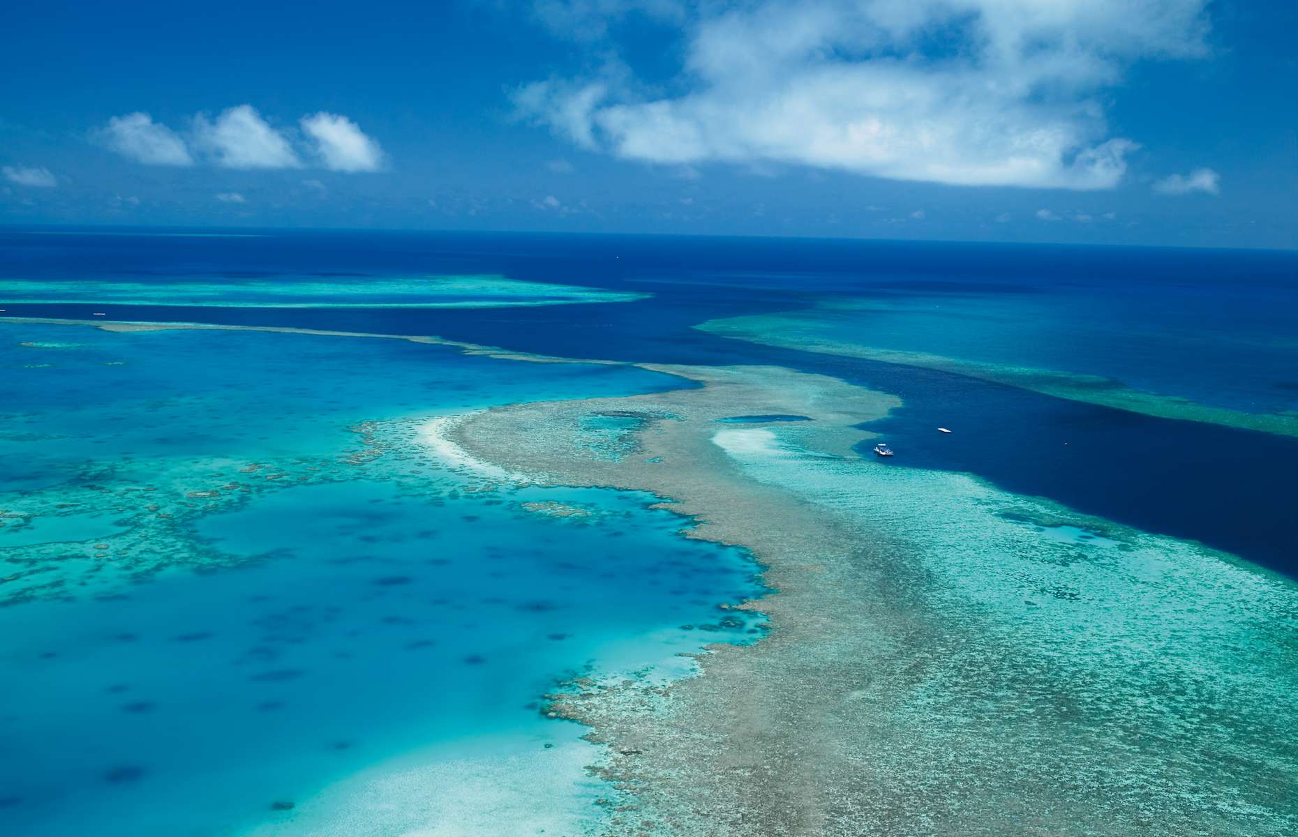 Great coral reef