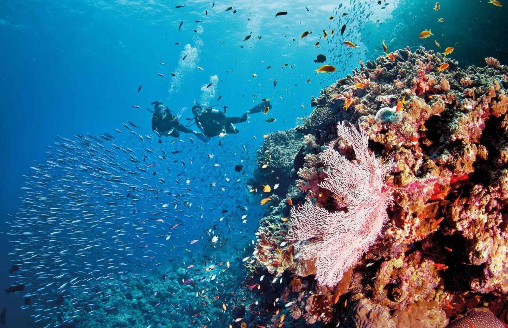Séjour Queensland - Grande Barrière de Corail