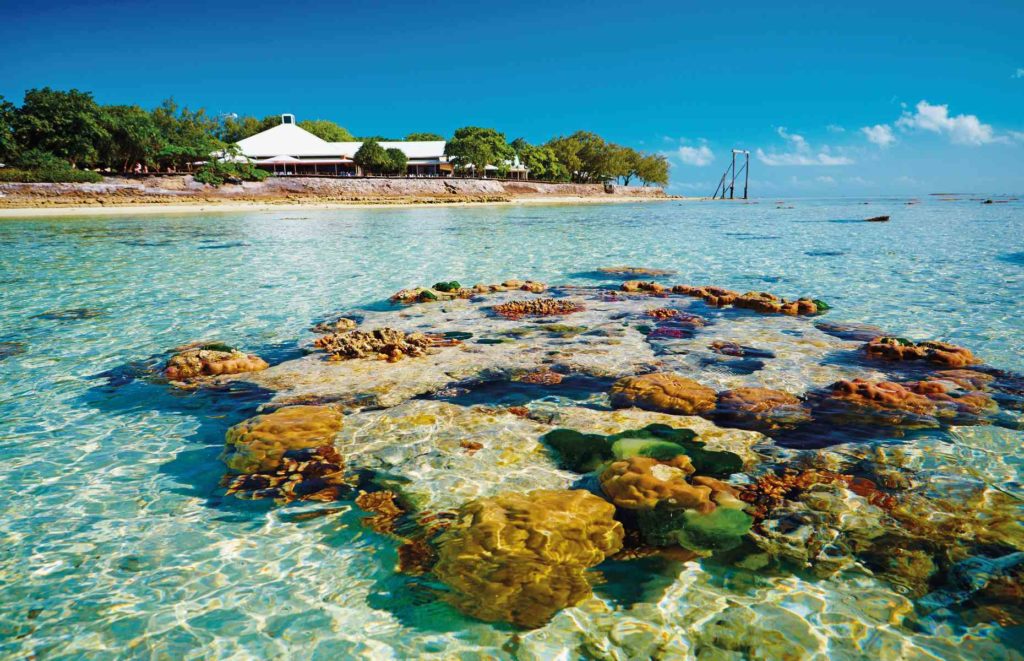 Heron Island