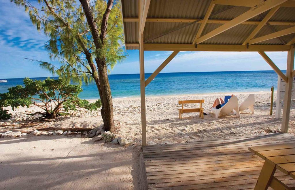 Lady Elliot Island