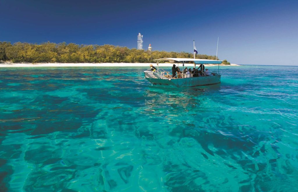 Lady Elliot Island