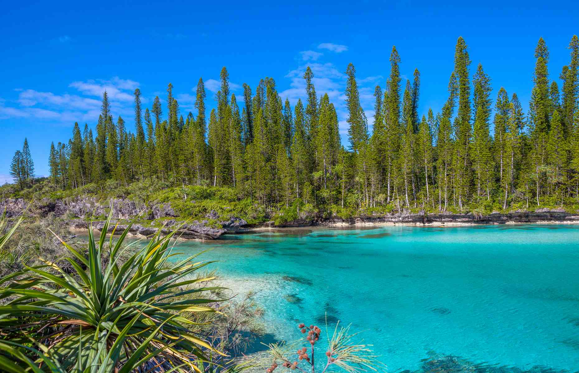 ile-des-pins-Credit-Ethnotrack-Expire-10-08-21-nouvelle ...